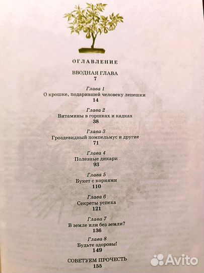Сад и огород на подоконнике. Попов Е