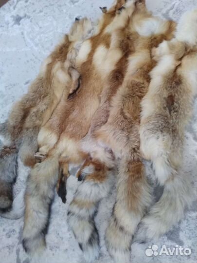 Шкуры лисы