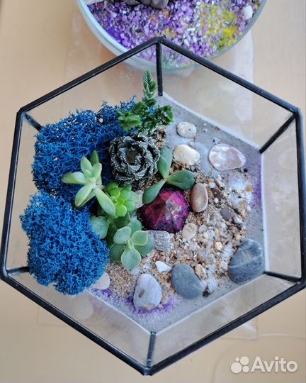 Продам флорариум композицию из цветов
