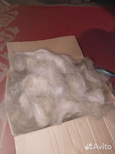 Собачья шерсть пух