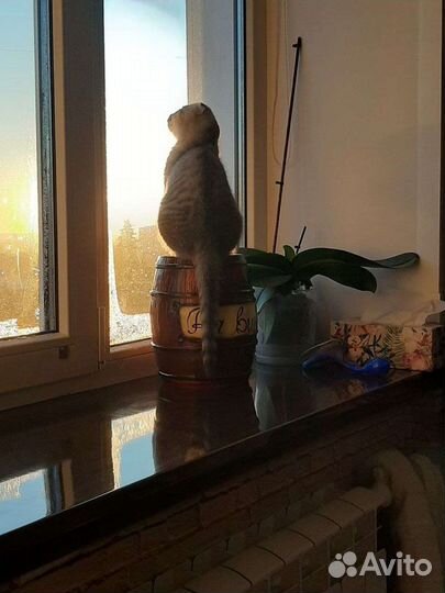 Ремонт окон