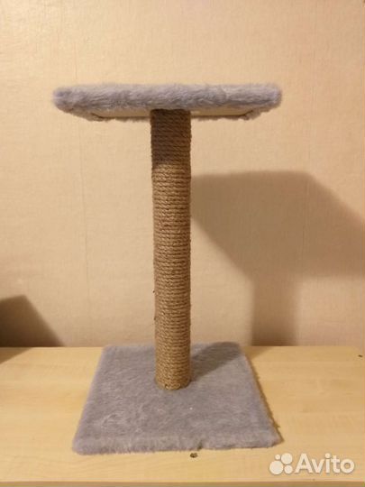 Когтеточка