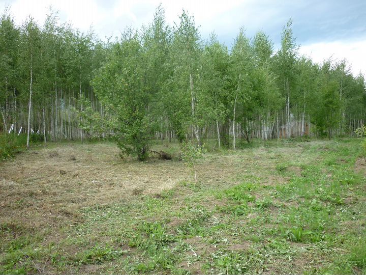 Участок 18 сот. (ИЖС)