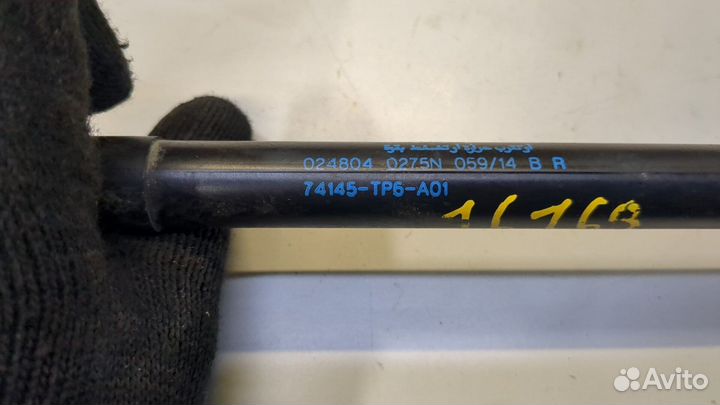 Амортизатор капота Honda Crosstour, 2011