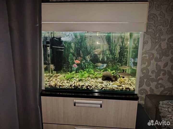 Аквариум с тумбой 70 литров