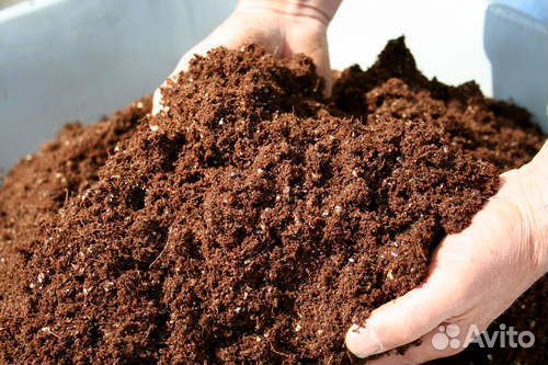 Продам перегной просеянный