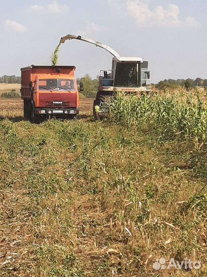 Уборка сеннажа и кукурузы