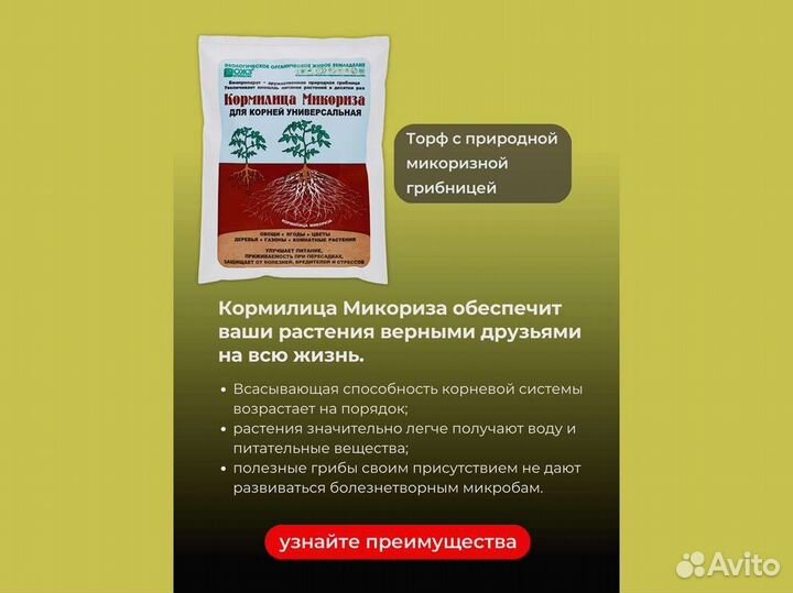 Кормилица Микориза