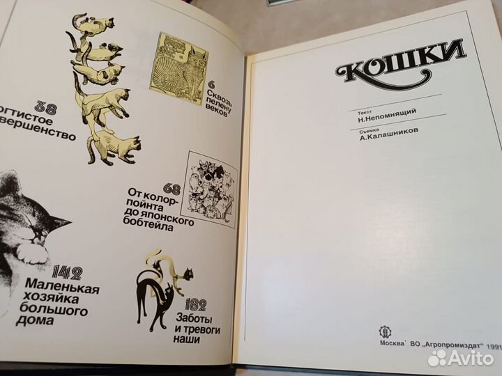 Непомнящий Н.Н., Калашников А.Ю. Кошки