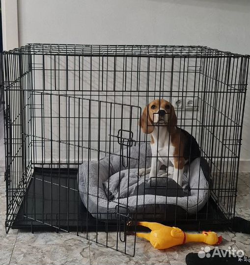 Клетка для собак от производителя