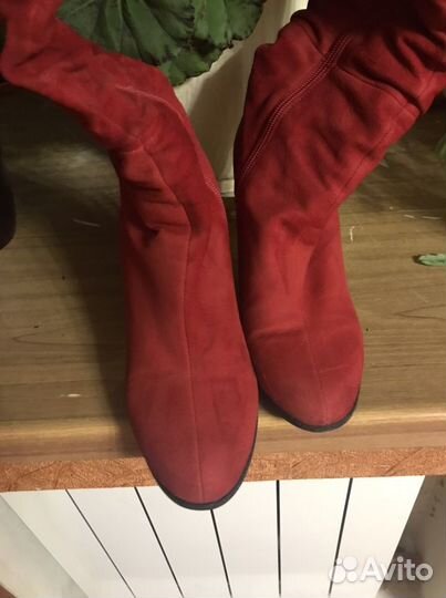 Сапоги натуральная замша