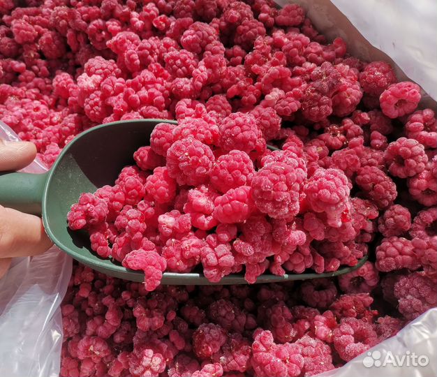 Малина замороженная (Киргизия)