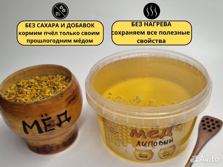 Липовый мед 2024