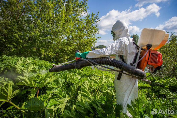 Уничтожение клещей кротов комаров ос борщевика