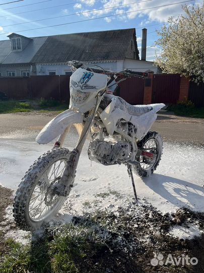 Fox 124