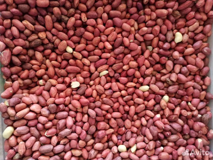 Орех грецкий,фундук,миндаль,фисташка,кешью,семечка