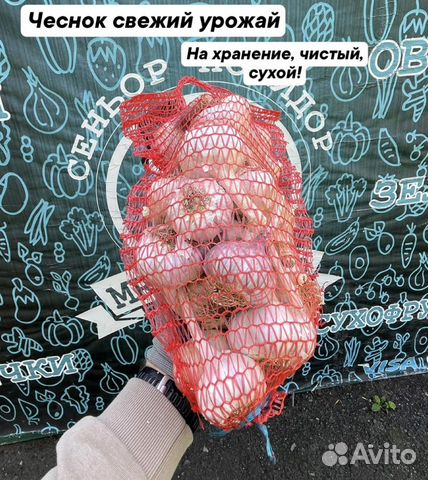 Чеснок на хранение