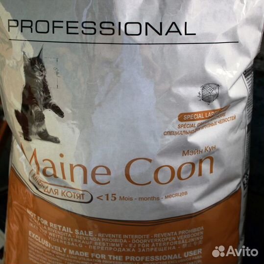 Корм для котят мейн кун 14 кг royal canin