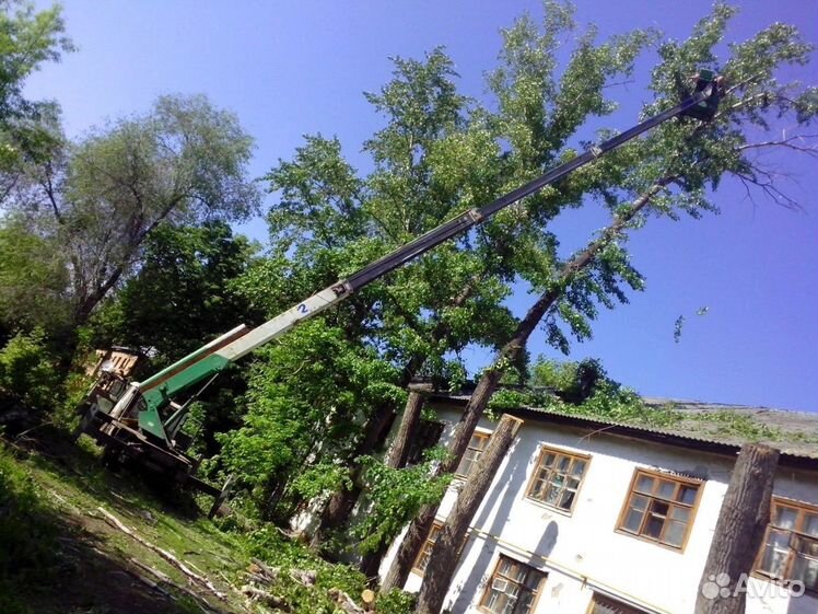 Спил деревьев в самаре вокруг электрических столбов. Опиловка деревьев. Арбористика. Спил аварийных деревьев арборист. Спилить дерево самара.