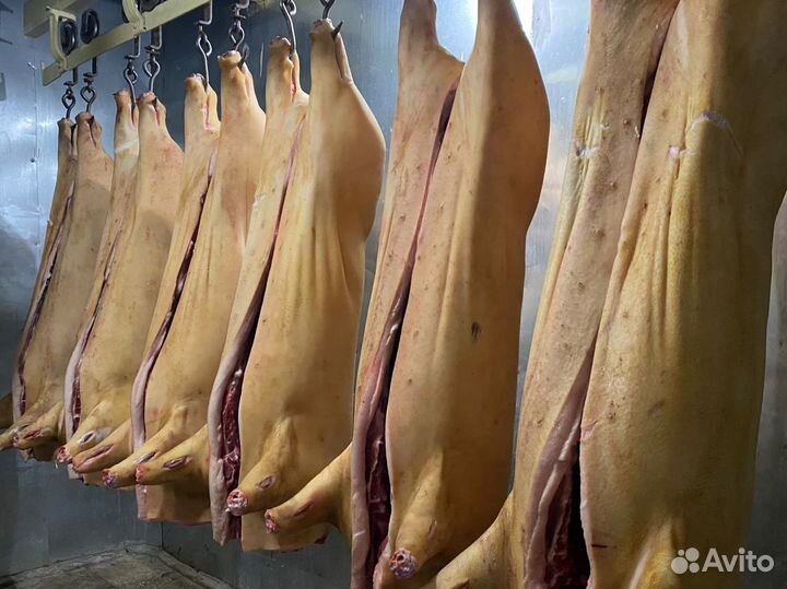 Мясо свинина домашняя