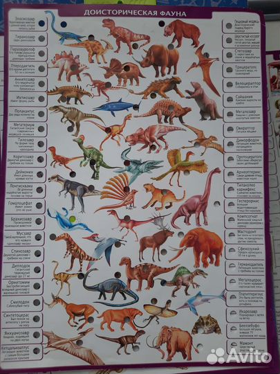 Conector Энциклопедия