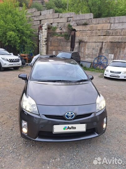 Toyota Prius, 2010