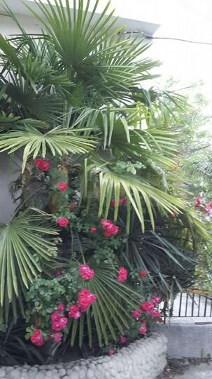 Комната 14 м² в 1-к., 1/1 эт.