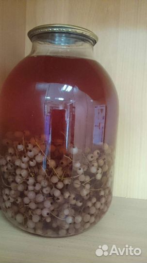 Компот из красной смородины