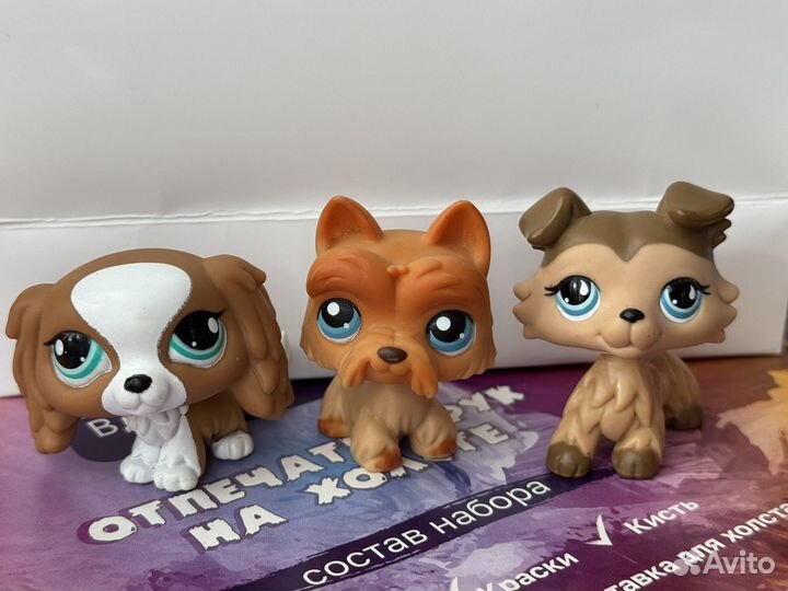 Littlest pet shop