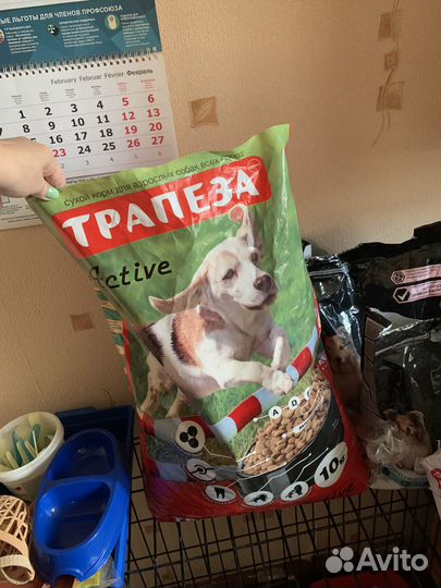 Сухой корм для собак