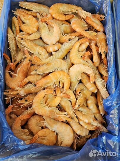 Креветки ваннамей 20/30 в/м