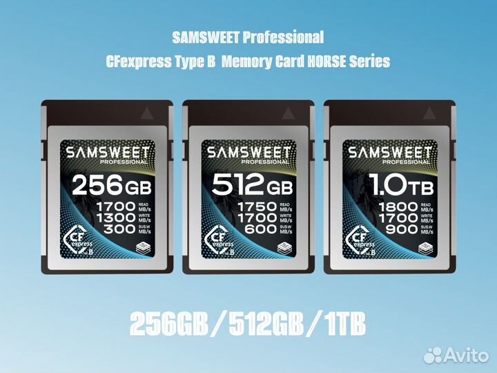 Карта памяти Samsweet Pro CFexpress Type B 256GB