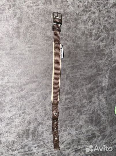 Собачий ошейник