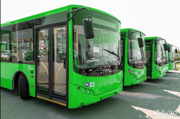 Водитель автобуса