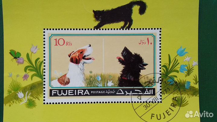 Марки, Фауна