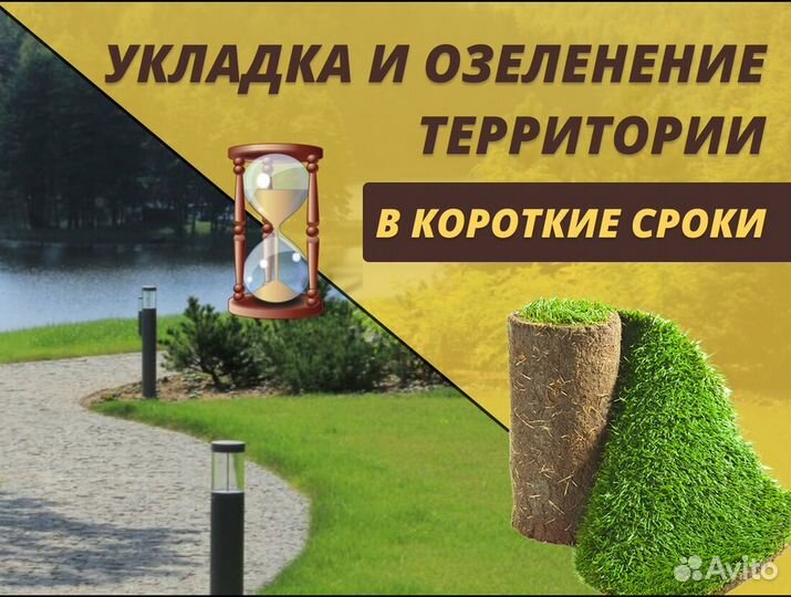 Рулонный газон Стандартный