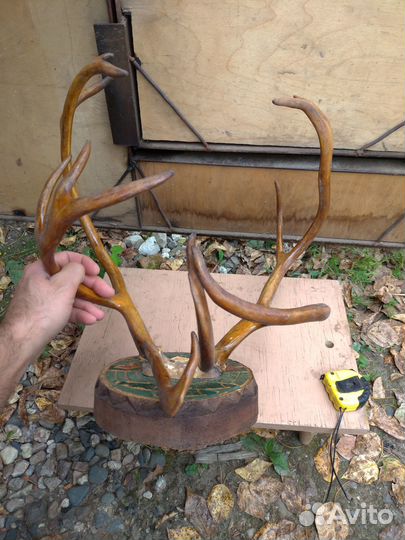 Рога оленя сувенир