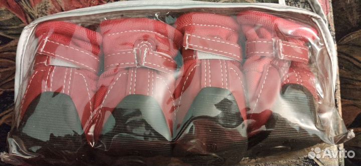 Ботинки для собак