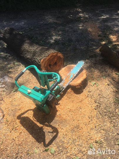 Обрезка плодовых деревьев