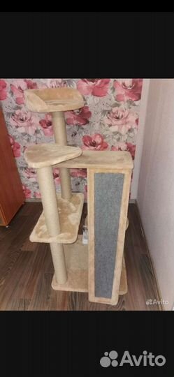 Дом когтеточка