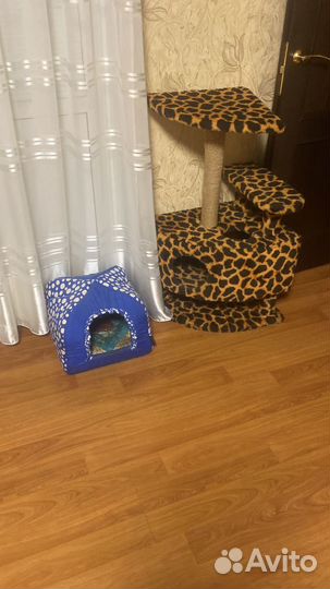 Домик для кошки,когтеточка