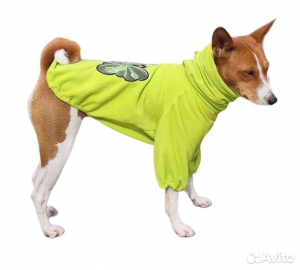 Худи, комбинезоны для басенджи