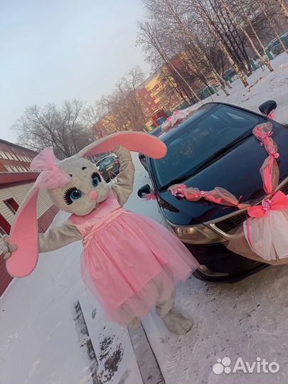 Ростовая кукла, аниматор, серпантин, шоу нащупал