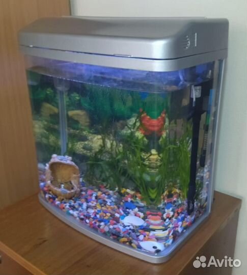 Аквариумы (16л и 27л) с рыбками и оборудованием