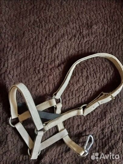Амуниция для лошади: недоуздки, трензели, попона