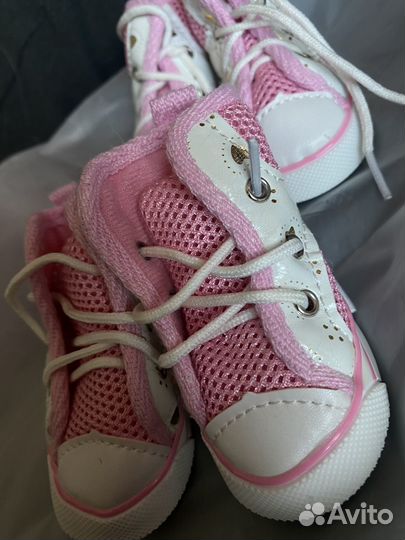 Новые ботиночки для собаки