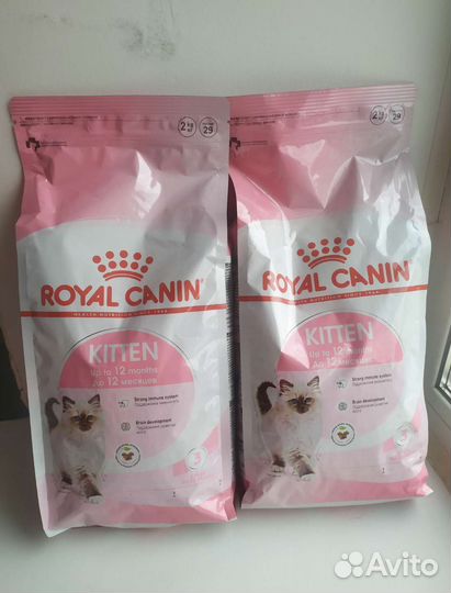 Корм сухой для котят Роял Канин