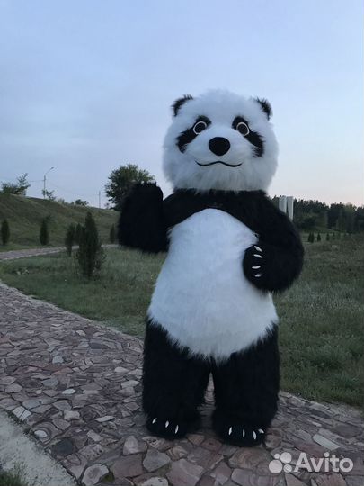 Аниматор, ростовая кукла Панда