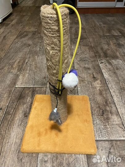 Когтеточка