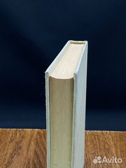 Мертвые молчат